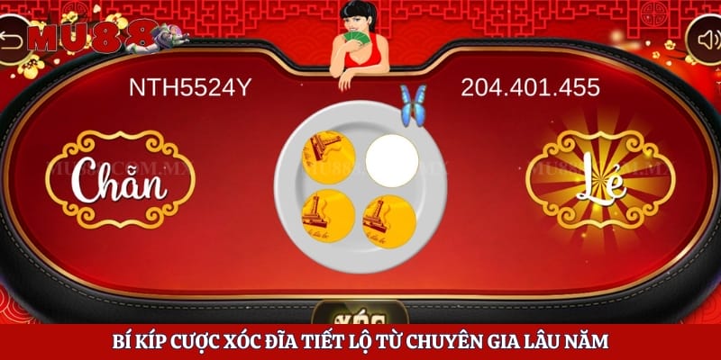 Bí kíp cược xóc đĩa tiết lộ từ chuyên gia lâu năm