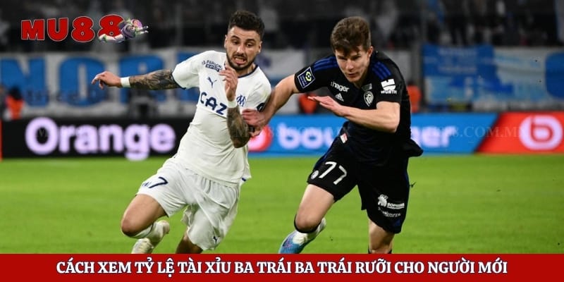 Cách xem tỷ lệ tài xỉu ba trái ba trái rưỡi cho người mới
