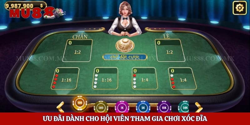 Ưu đãi dành cho hội viên tham gia chơi xóc đĩa
